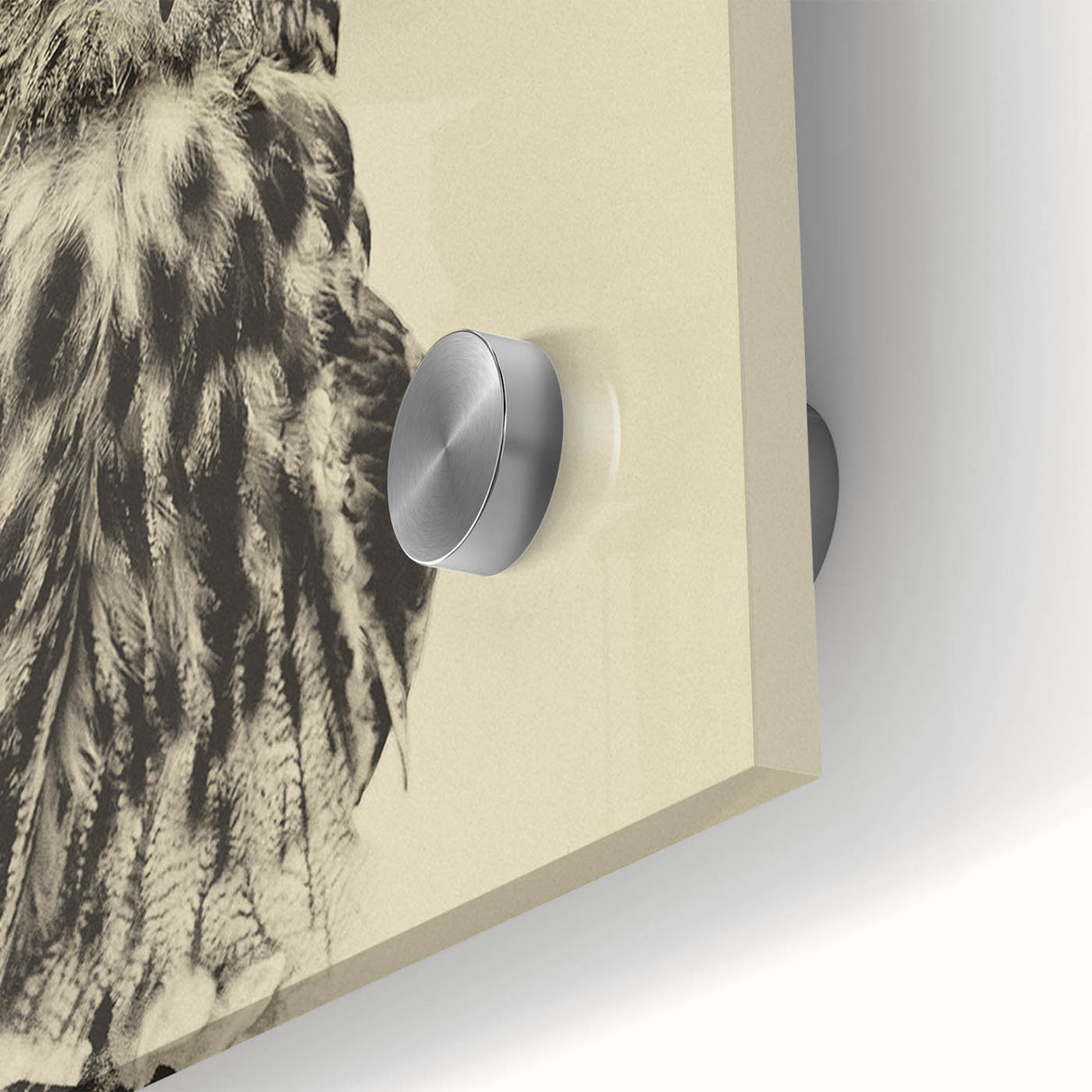 Close-up of a vibrant acrylic glass wall art piece featuring a detailed design of various birds, showcasing intricate colors and textures, perfect for nature enthusiasts.