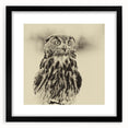 Framed black wall art featuring a stunning bird design, showcasing intricate details and vibrant colors, perfect for adding a touch of nature-inspired elegance to any room.