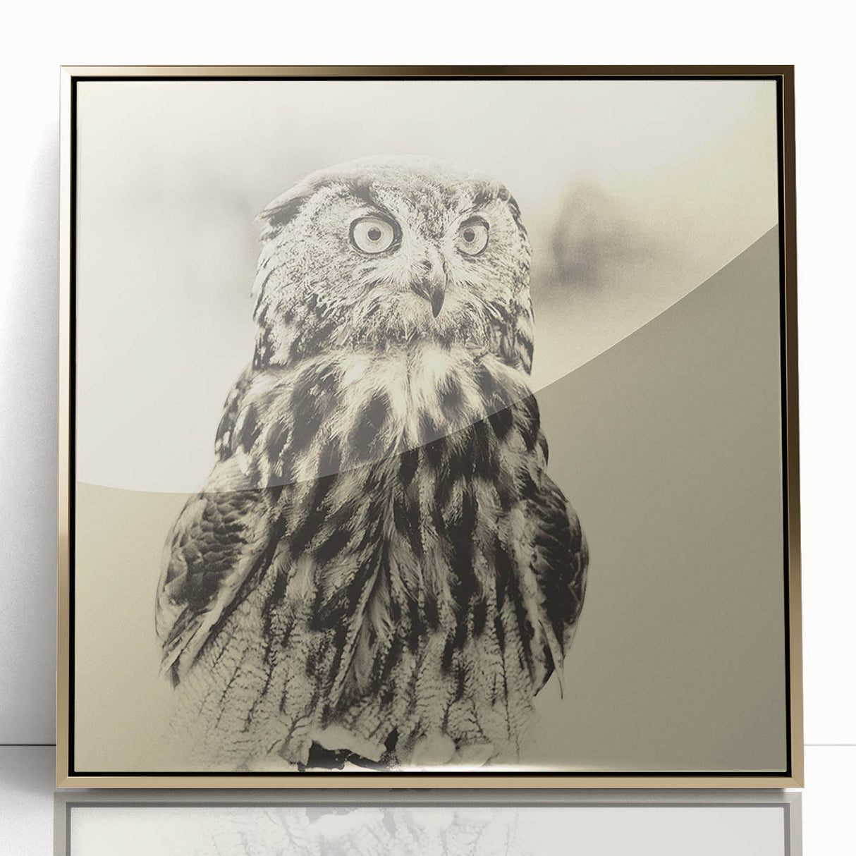Framed wall art showcasing a vibrant birds of prey design, featuring intricate details and a gold-acrylic frame, perfect for wildlife enthusiasts and home decor.
