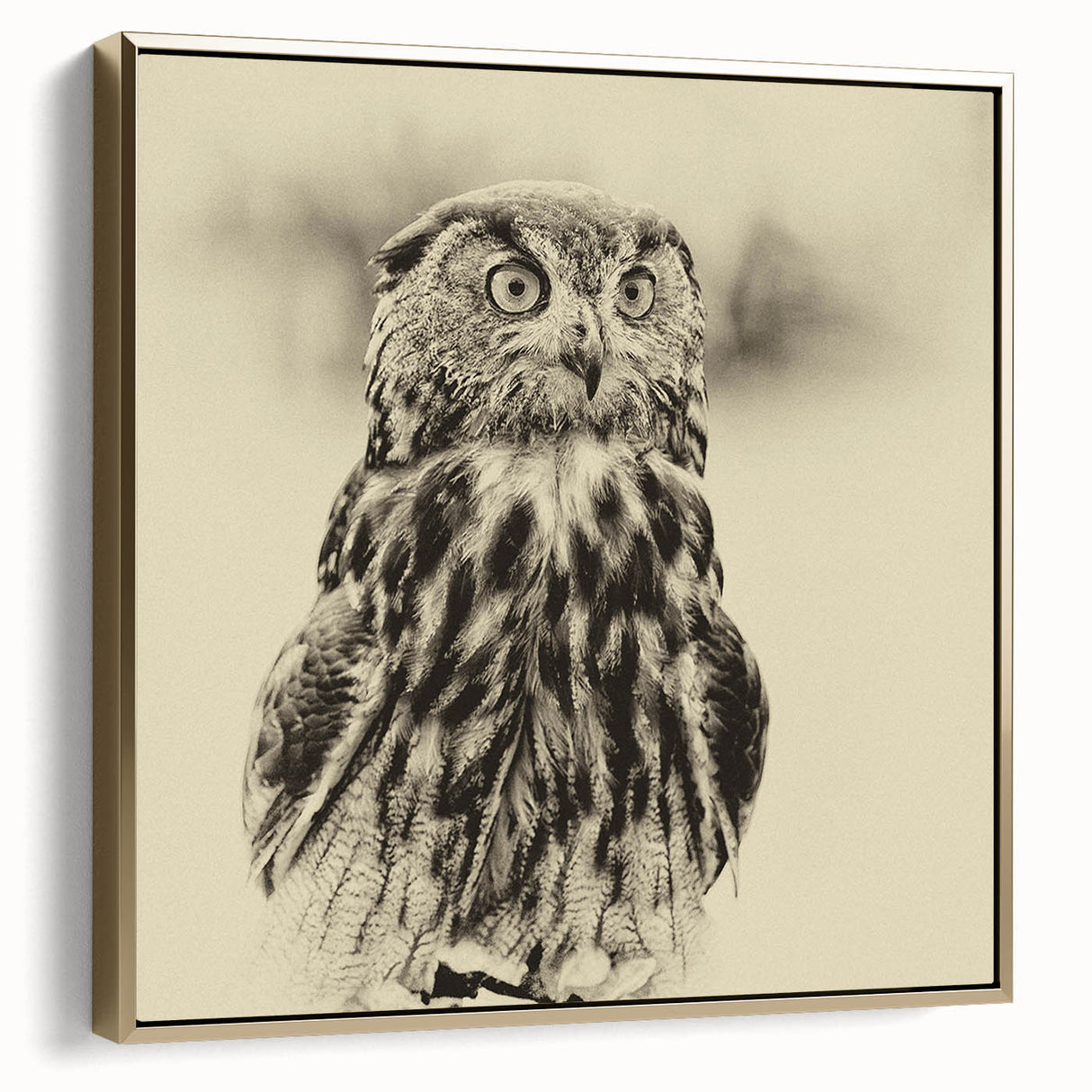 Framed wall art featuring a striking design of birds of prey, showcased on a gold background. The canvas adds elegance and nature-inspired decor to any space.