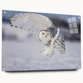 Acrylic wall art piece showcasing a vibrant birds of prey design, displayed from the side with visible mounting pins, perfect for enhancing modern decor.