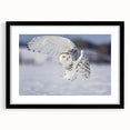 Black-framed wall art featuring an intricate design of birds in flight, showcasing vibrant colors and elegant details, perfect for home decor enhancement.