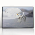 Framed acrylic wall art featuring a vibrant bird design, with a sleek black frame, showcasing intricate details of various bird species in a modern style.