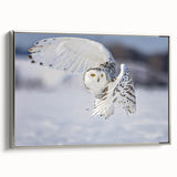 Framed canvas wall art from the "Birds of Pray" collection, showcasing a detailed design of various birds in vibrant colors, set against a sleek silver frame. Perfect for modern home decor.