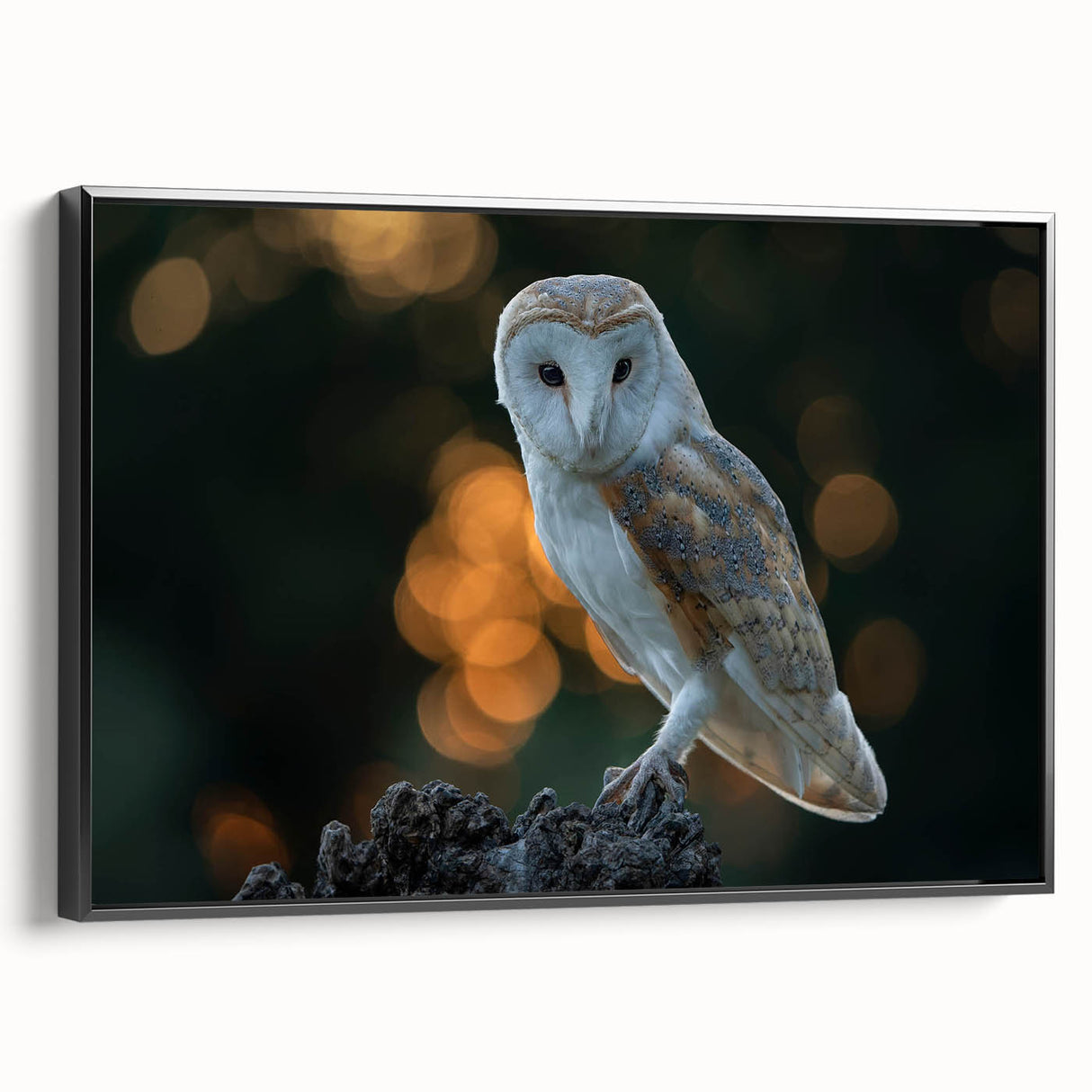 Framed canvas wall art featuring a black and white bird design from the "Birds of Pray" collection, showcasing intricate details and a modern aesthetic. Ideal for adding elegance to home décor.