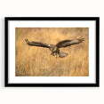Black-framed wall art featuring a collection of birds in flight, highlighting intricate details and vibrant colors, ideal for enhancing contemporary home decor.