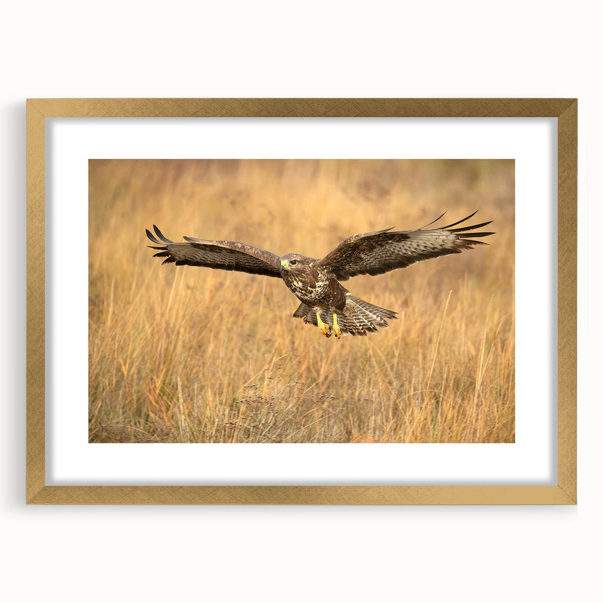 Elegant wall art featuring a gold-framed print of birds in flight, showcasing intricate details and vibrant colors, perfect for enhancing home decor and adding a touch of nature.