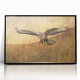 Framed acrylic wall art depicting a striking bird design from the "Birds of Pray" collection, featuring a sleek black frame and vibrant colors, perfect for modern decor.
