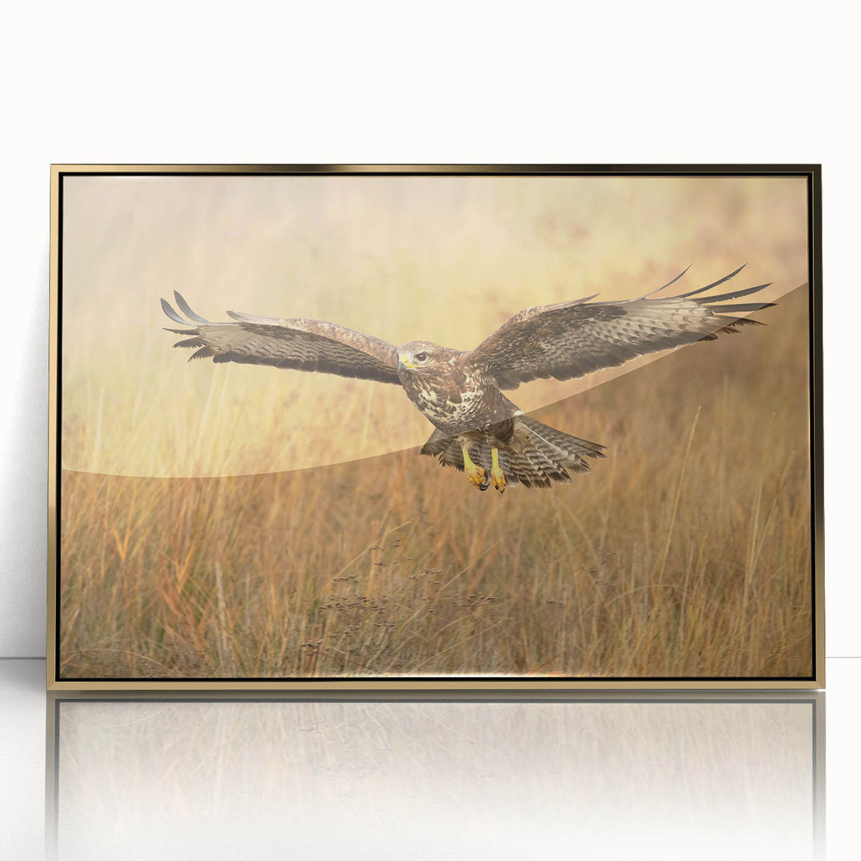 Framed acrylic wall art featuring a stunning collection of birds in vibrant colors, elegantly displayed with a gold frame, perfect for enhancing modern decor.