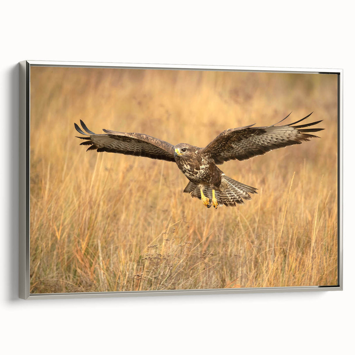 Framed wall art showcasing a stunning design of birds in flight, featuring a sleek silver frame. Perfect for adding elegance to any living space or office decor.