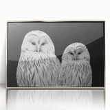 Framed wall art featuring a collection of vibrant birds in flight, designed with intricate details and a silver acrylic frame, perfect for home decor.