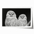 Colorful wall art print featuring a design of various birds, showcasing intricate details and vibrant hues, ideal for enhancing home decor or art collections.