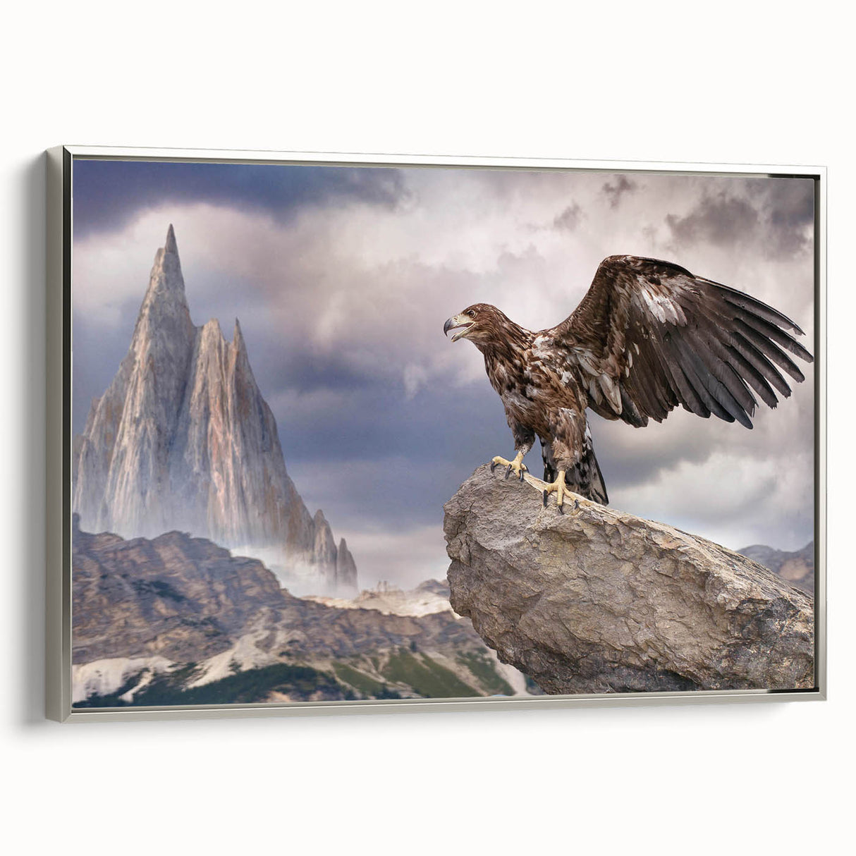 Framed wall art featuring a stunning design of birds of prey, showcased in a sleek silver frame, perfect for enhancing home decor with a nature-inspired touch.