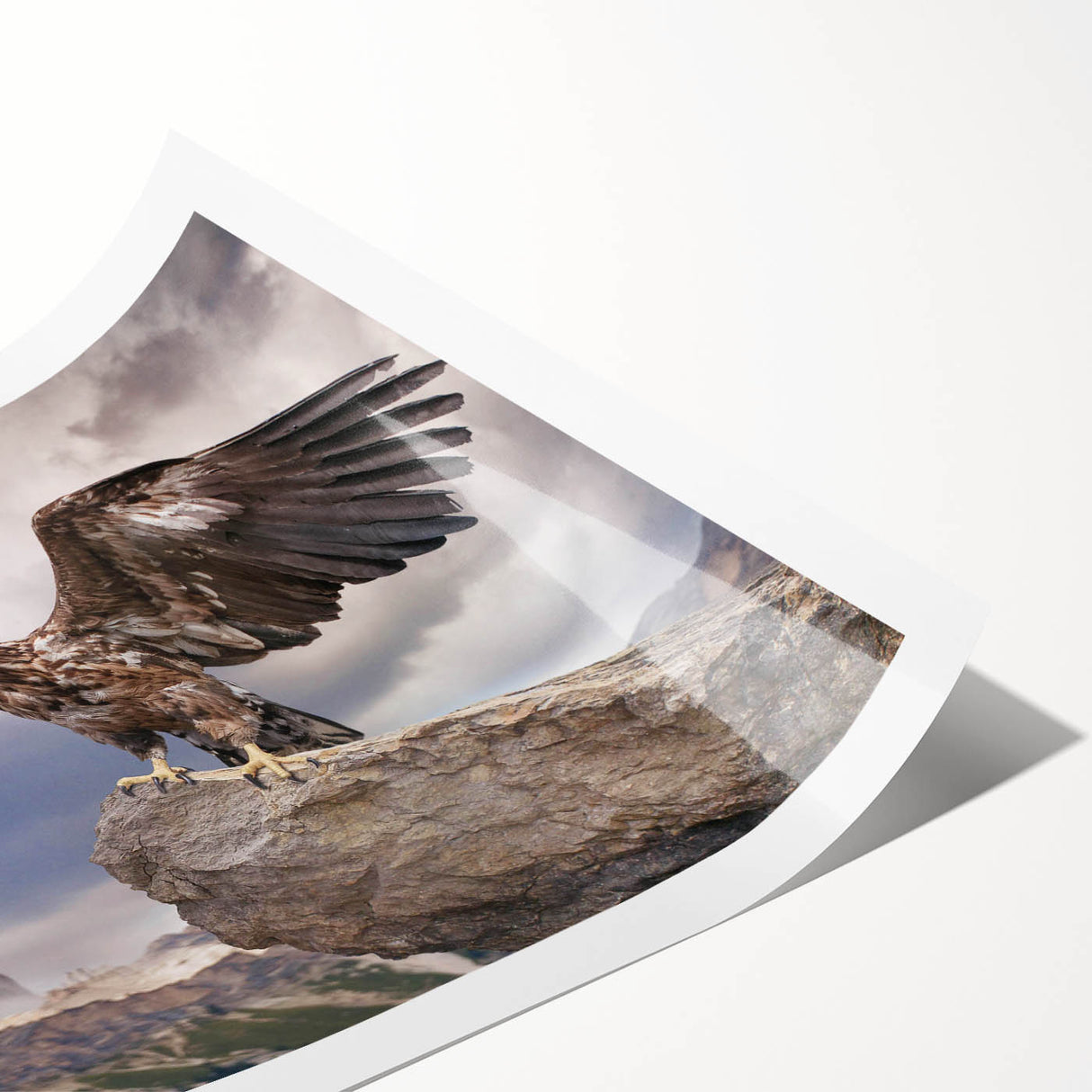 Stylish rolled print of a bird-themed wall art design featuring vibrant colors and intricate details, ideal for enhancing home decor or art collections.