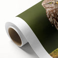 Vibrant rolled canvas artwork featuring a collection of colorful birds, ideal for home decor. This high-quality print showcases intricate details and vivid colors.
