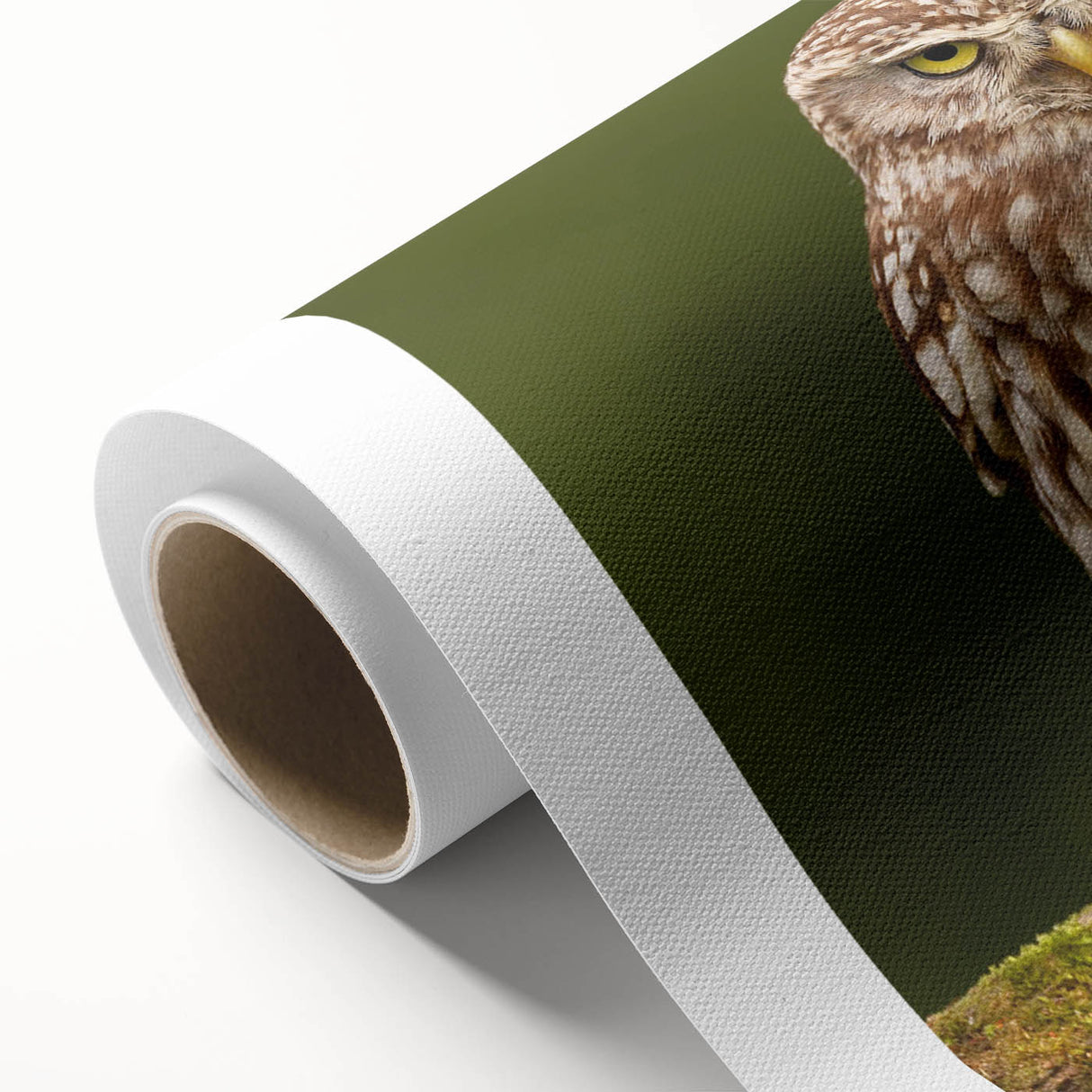 Vibrant rolled canvas artwork featuring a collection of colorful birds, ideal for home decor. This high-quality print showcases intricate details and vivid colors.