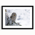 Framed wall art featuring a stunning birds of prey design, showcasing intricate details and vibrant colors, set in a sleek black frame with a mat for a polished look. Perfect for enhancing any interior decor.