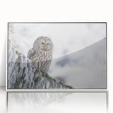 Framed acrylic wall art piece showcasing a detailed illustration of birds of prey in vibrant colors, set against a white backdrop, ideal for nature-themed decor.