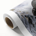 Vibrant rolled canvas artwork showcasing a colorful birds of prey design, featuring intricate details and textures, ideal for enhancing home decor.