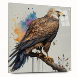 Side view of a framed acrylic glass wall art piece showcasing a vibrant bird design from the "Birds of Prey" collection, elegantly displayed with decorative pins. The artwork features rich colors and intricate details, perfect for enhancing any modern home decor.