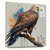 Acrylic wall art featuring a stunning birds of prey design, showcasing vibrant colors and intricate details, elegantly displayed in a side view without pins. Ideal for nature enthusiasts and home decor lovers seeking unique artwork.