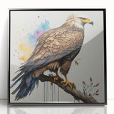 Framed acrylic wall art featuring a striking design of colorful birds from the 'Birds of Pray' collection, set against a sleek black background, ideal for modern home decor.