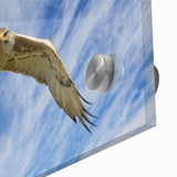 Close-up of a vibrant acrylic glass wall art piece featuring a detailed design of birds in flight, showcasing vivid colors and intricate patterns, perfect for home decor.