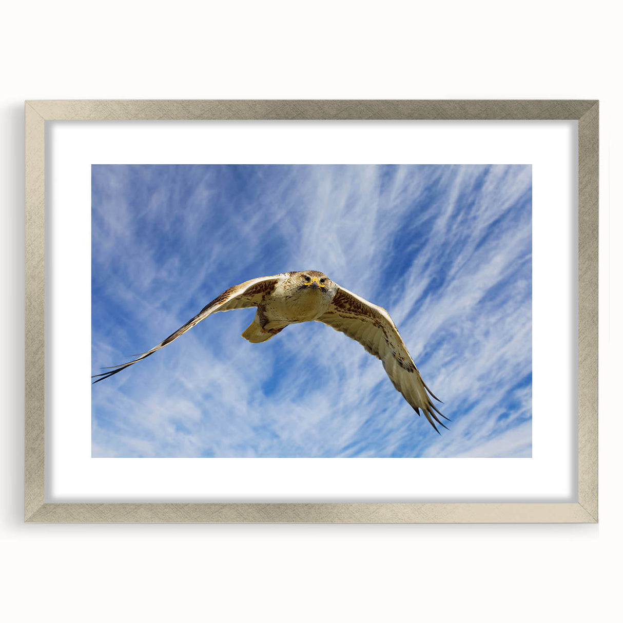 Framed wall art featuring a striking birds of prey design, elegantly showcased with a silver frame and mat, perfect for adding sophistication to any decor.