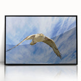 Framed acrylic wall art featuring a vibrant birds of prey design, showcasing detailed illustrations in black and colorful hues, ideal for modern home decor.