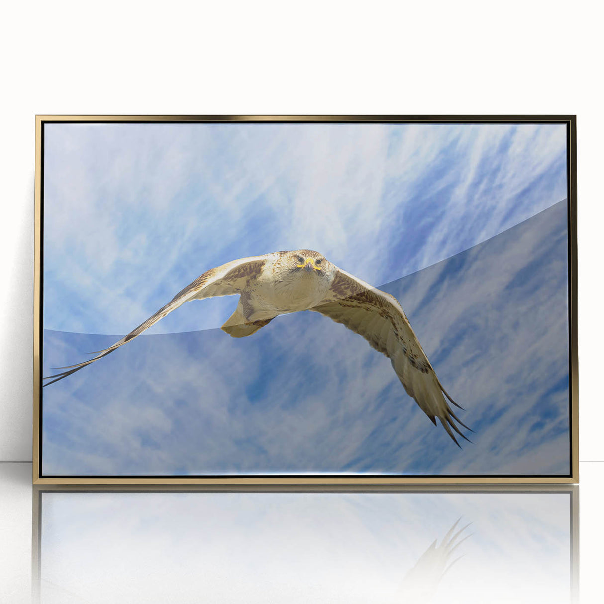 Framed acrylic wall art featuring a vibrant birds of prey design with gold accents, showcasing intricate details and a modern aesthetic, perfect for home decor.