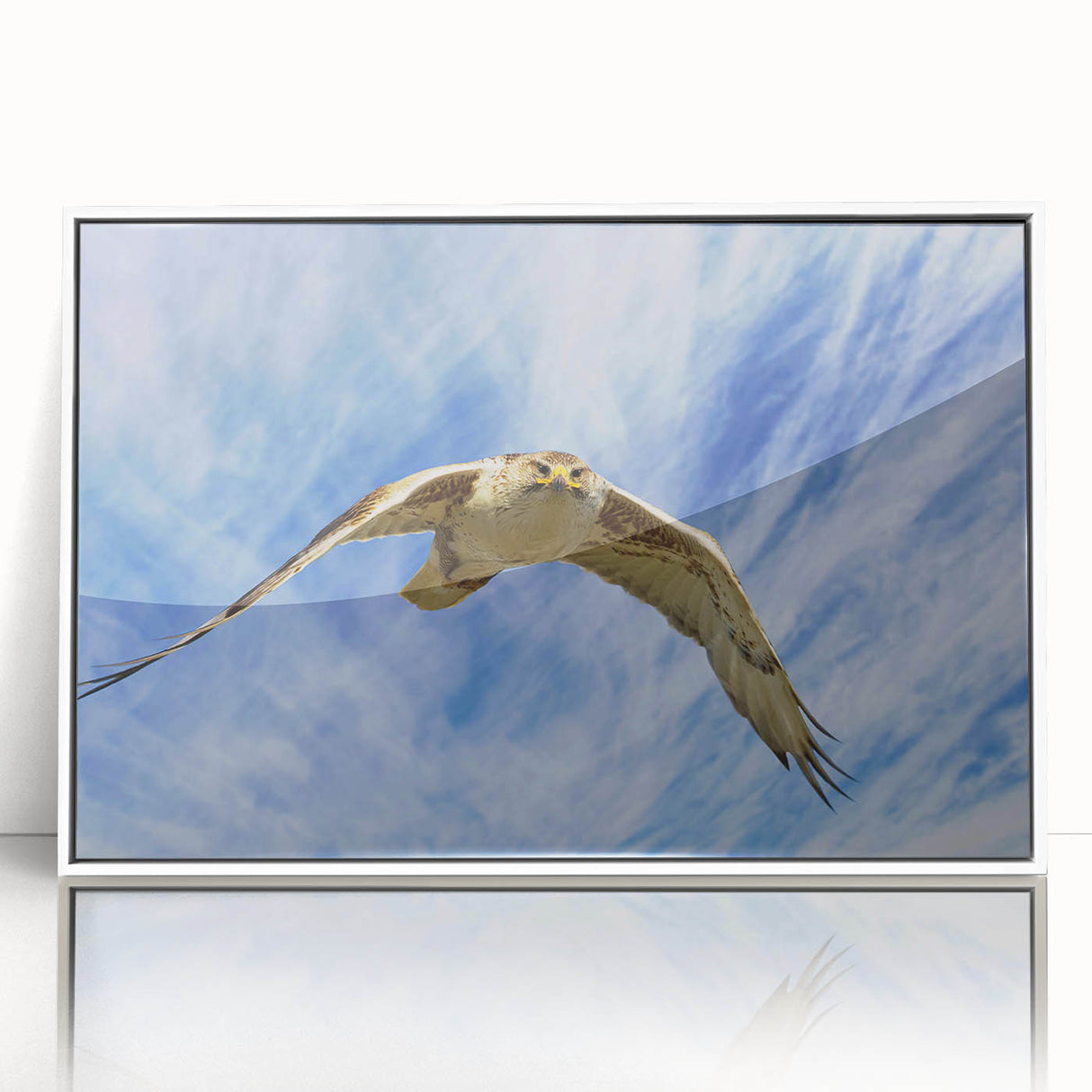 Framed acrylic wall art featuring a vibrant bird design from the "Birds of Pray" collection, set against a sleek white background, ideal for modern decor enthusiasts.