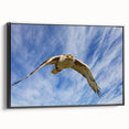 Framed canvas wall art showcasing a striking design of birds, featuring a black side view, perfect for modern decor. Ideal for bird lovers and nature enthusiasts.