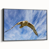 Framed canvas wall art showcasing a striking design of birds, featuring a black side view, perfect for modern decor. Ideal for bird lovers and nature enthusiasts.