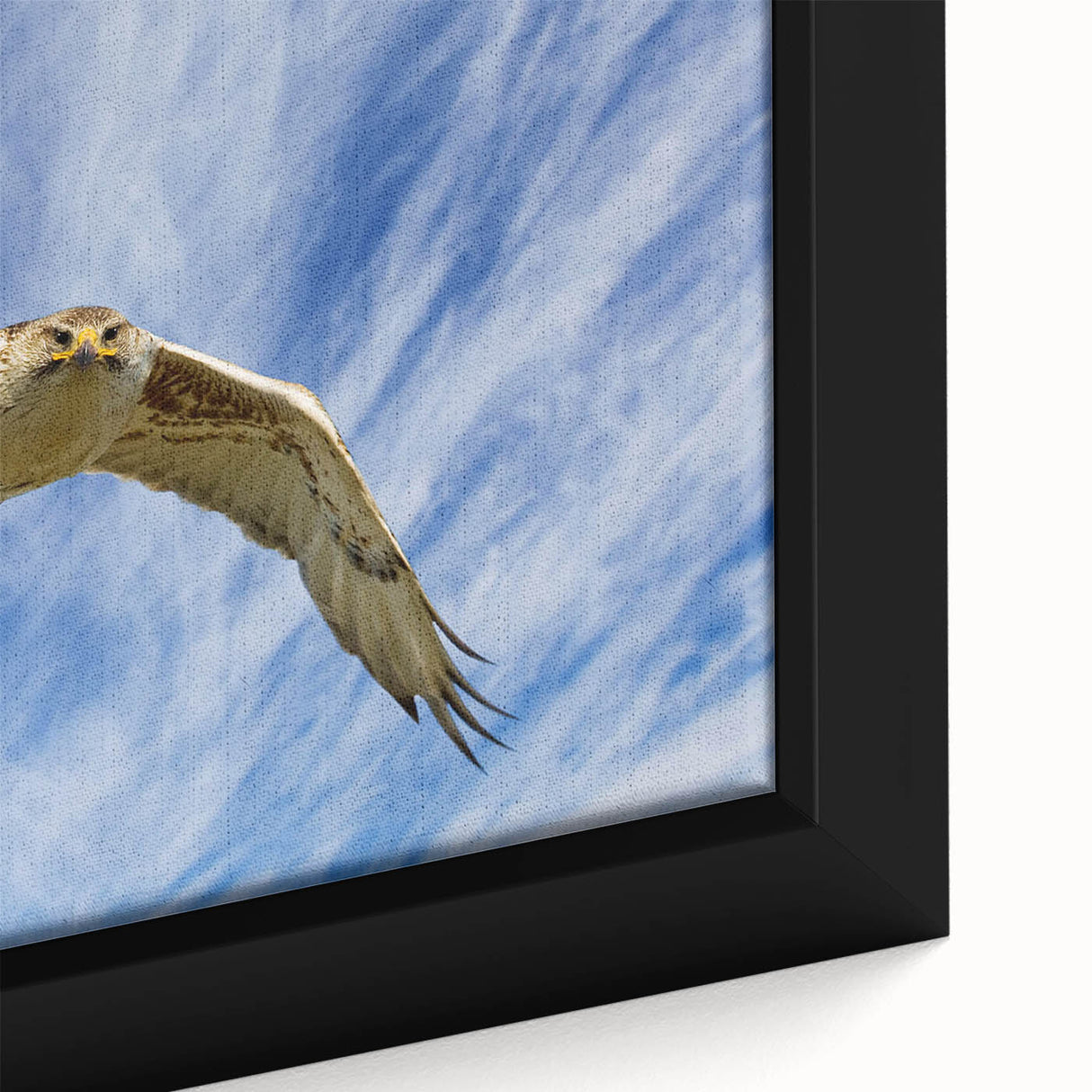 Close-up of a framed canvas wall art piece featuring a vibrant, abstract design of birds in flight, showcasing intricate details and rich colors. Perfect for modern home decor.