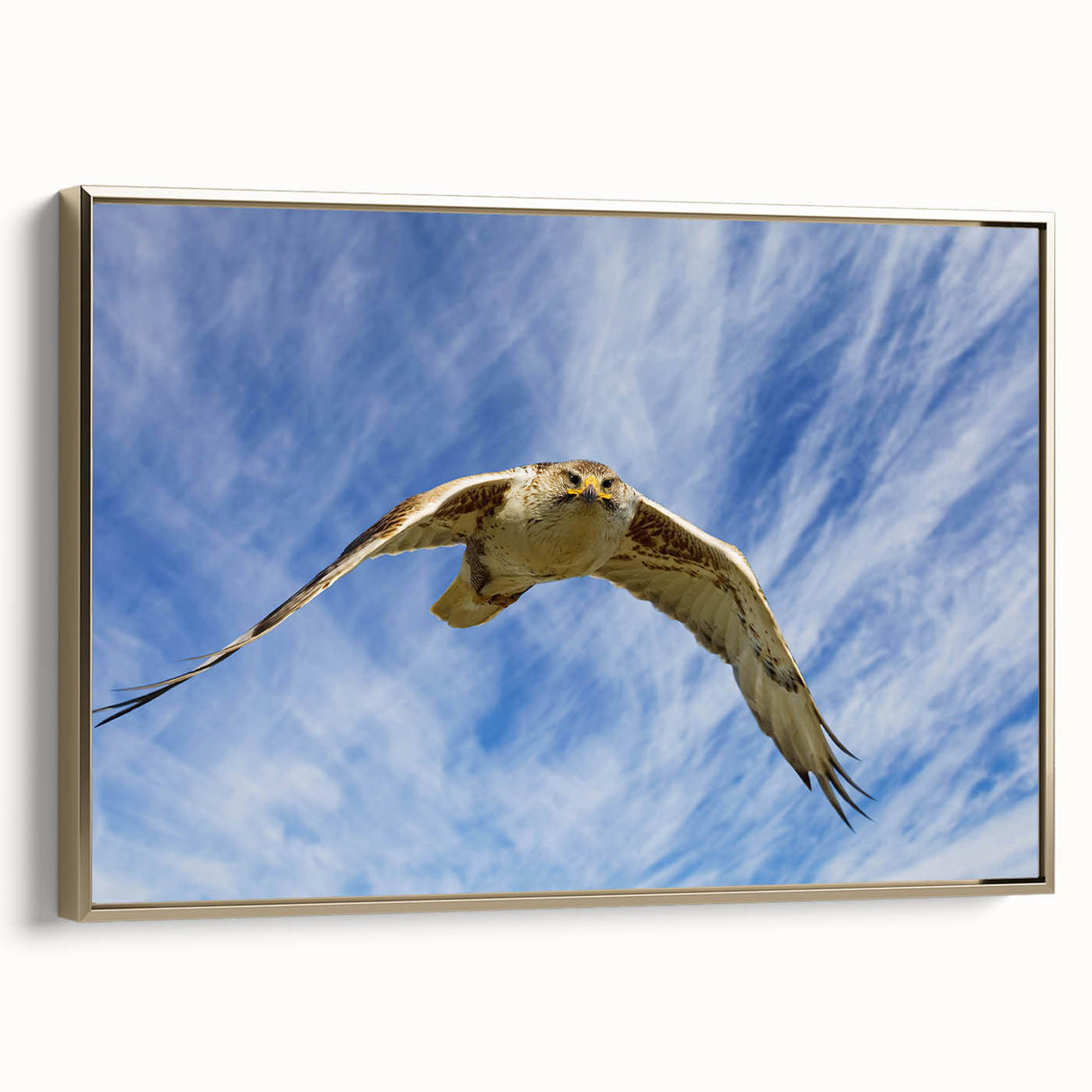 Framed wall art featuring a vibrant birds of prey design on canvas, showcasing intricate details in gold tones, perfect for enhancing modern home decor.