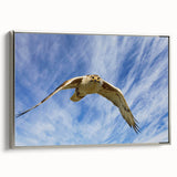 Framed canvas wall art showcasing a vibrant bird design from the Birds of Prey collection, featuring a sleek silver frame and side view display, perfect for home decor.