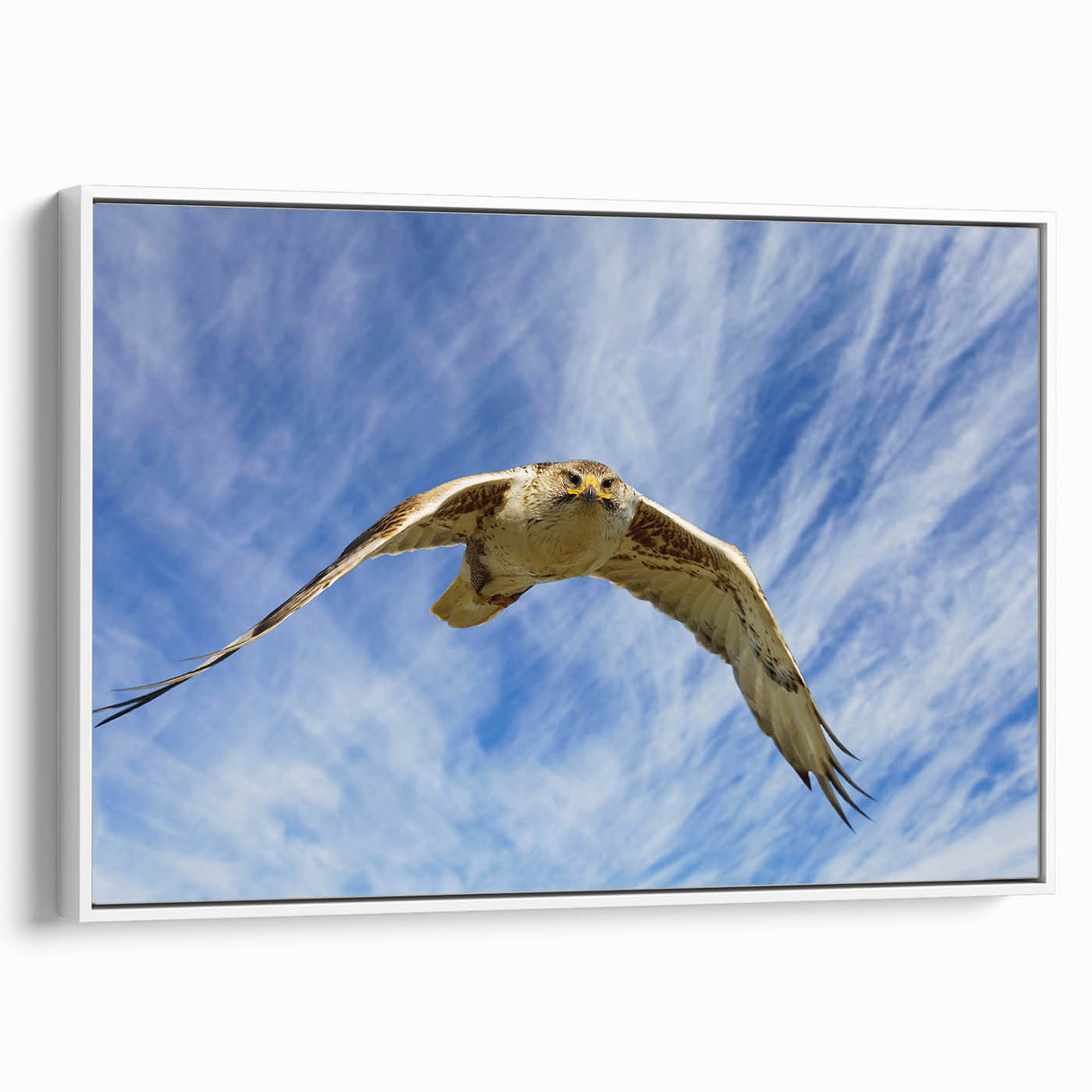 Framed wall art featuring a collection of colorful birds in a stylized design, displayed in a sleek white frame, perfect for home decor enhancement.