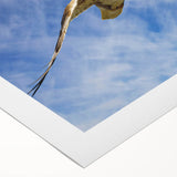 Colorful rolled canvas artwork showcasing a vibrant birds of prey design, featuring intricate details on a textured surface, ideal for home decor.