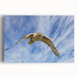 Vibrant stretched canvas wall art showcasing a stunning collection of various birds, featuring rich colors and intricate details, perfect for home decor.