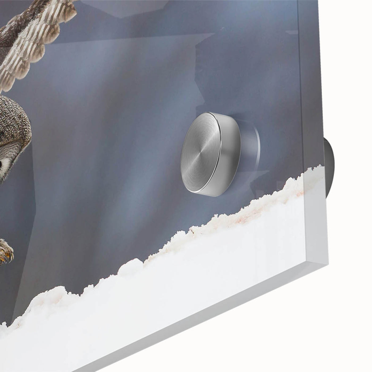 Close-up view of a vibrant acrylic glass wall art piece depicting a majestic bird of prey in flight, showcasing intricate details and vivid colors, perfect for nature enthusiasts.