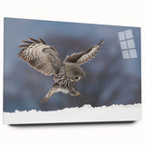 Acrylic glass wall art piece showcasing a vibrant birds of prey design, side view highlighting its sleek edges and colorful details, perfect for nature enthusiasts.