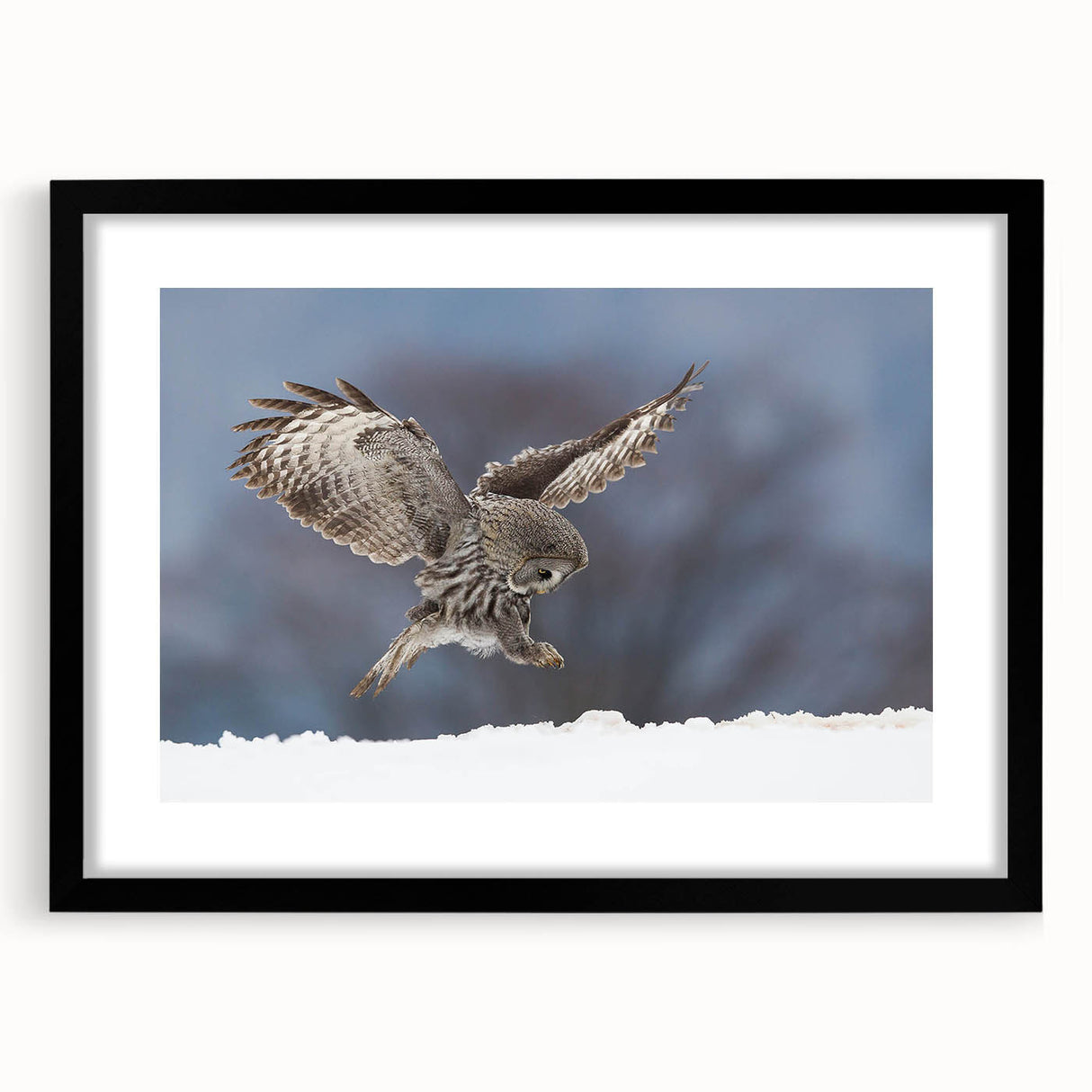 Framed wall art featuring a striking design of birds in flight, set in a sleek black frame with a mat. Ideal for nature lovers and home decor enthusiasts.