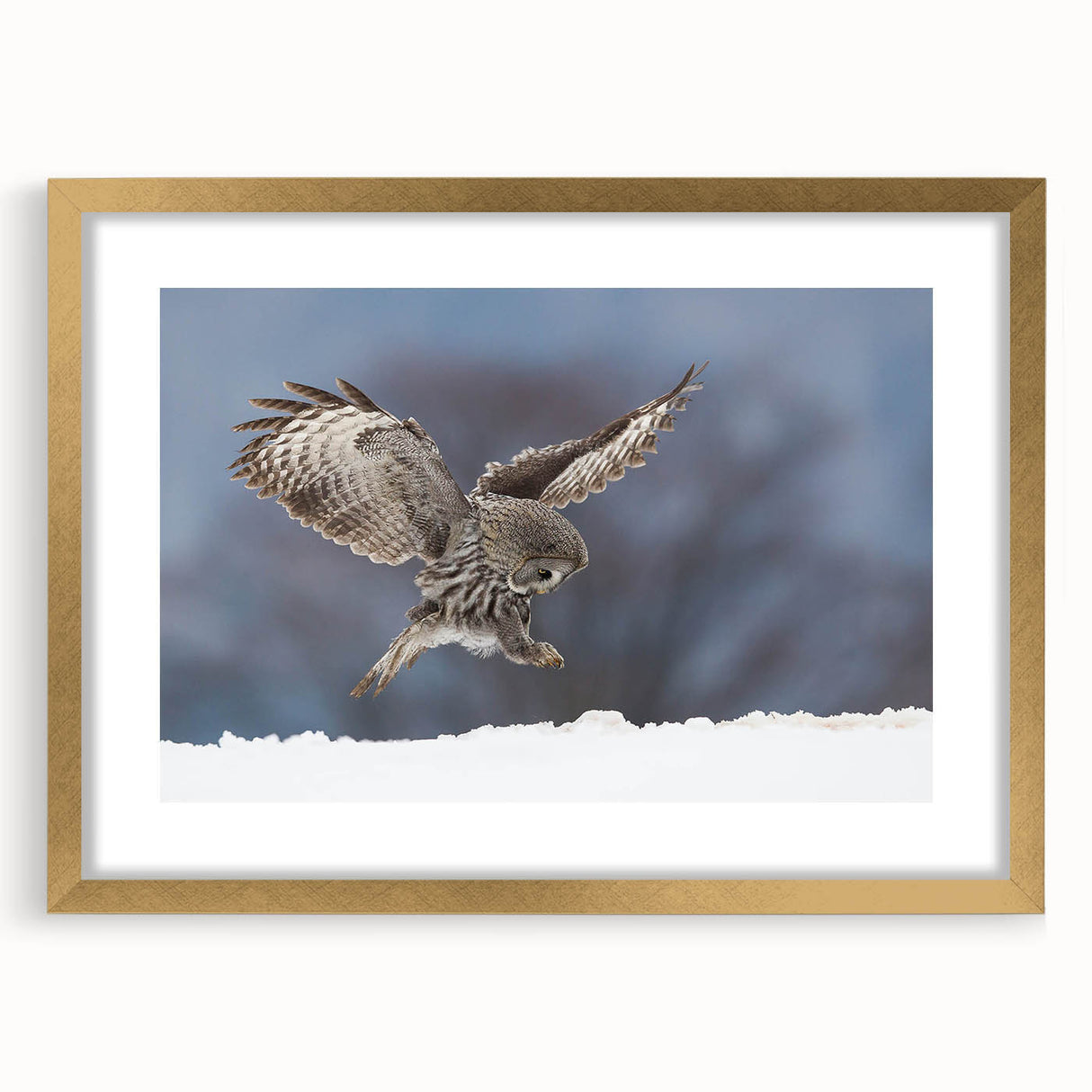 Gold-framed wall art featuring a collection of bird illustrations in an elegant design, perfect for adding a touch of nature-inspired decor to any space.