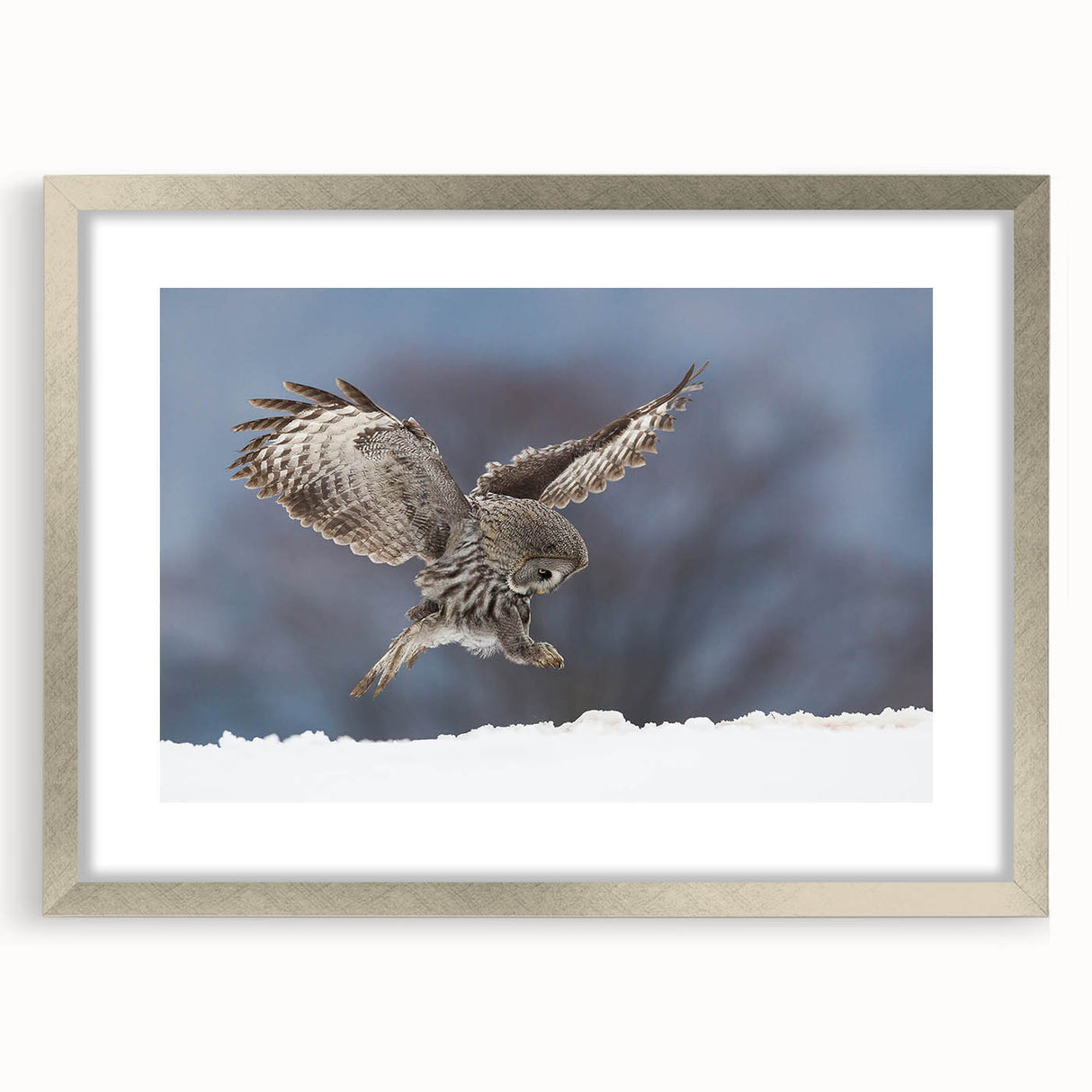 Framed wall art collection featuring a striking bird design in silver tones, elegantly matted for a polished look, perfect for modern home decor accents.