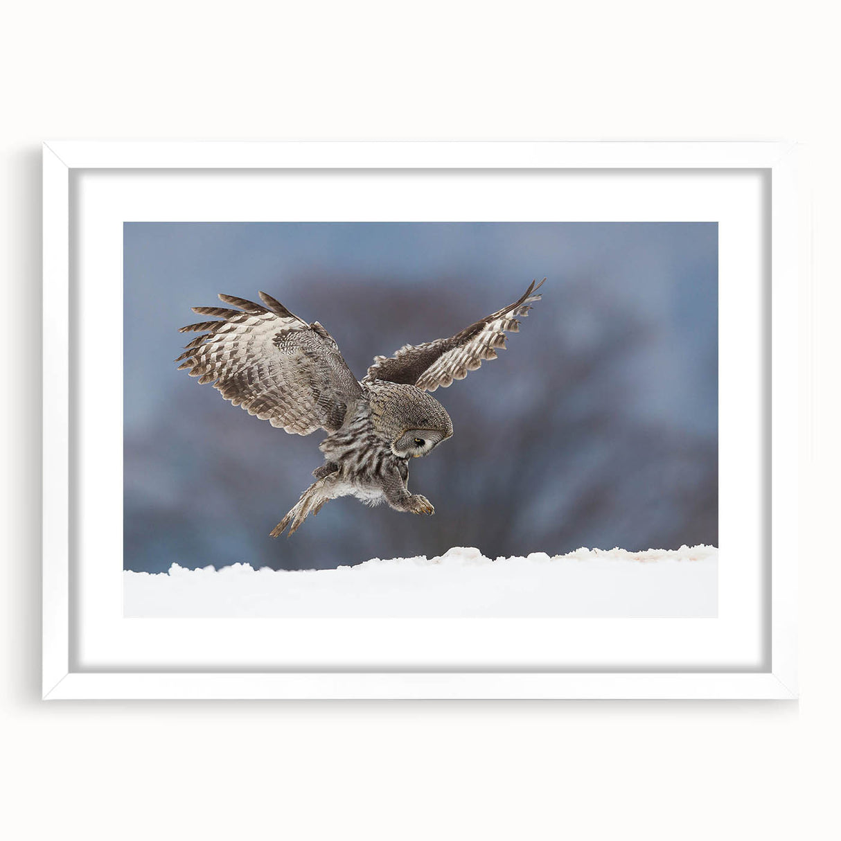 Framed wall art featuring a stunning bird design in vibrant colors, set against a white mat. Perfect for home decor, adding a touch of nature-inspired elegance.