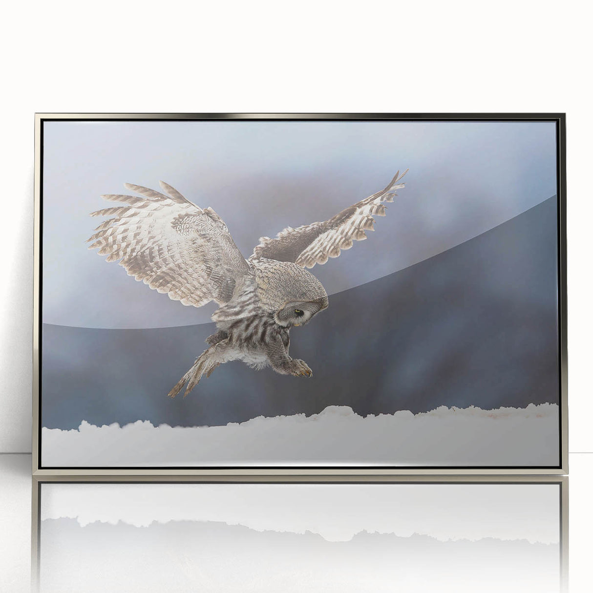 Framed acrylic wall art featuring a stunning birds of prey design, showcasing vibrant colors and intricate details, perfect for enhancing any modern decor.