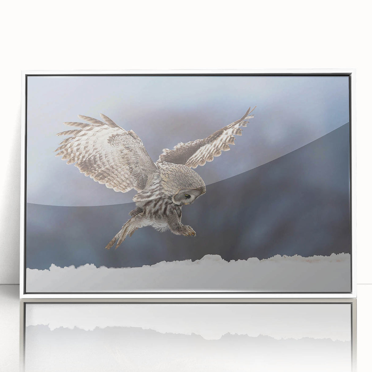 Framed acrylic wall art featuring a detailed illustration of birds of prey, displayed in a sleek white frame, perfect for nature enthusiasts and home décor.