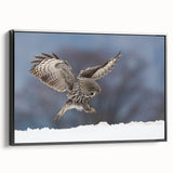 Framed wall art showcasing a striking birds of prey design on a textured canvas, featuring a sleek black frame that enhances the artwork's vibrant colors and details. Perfect for wildlife enthusiasts or modern decor.