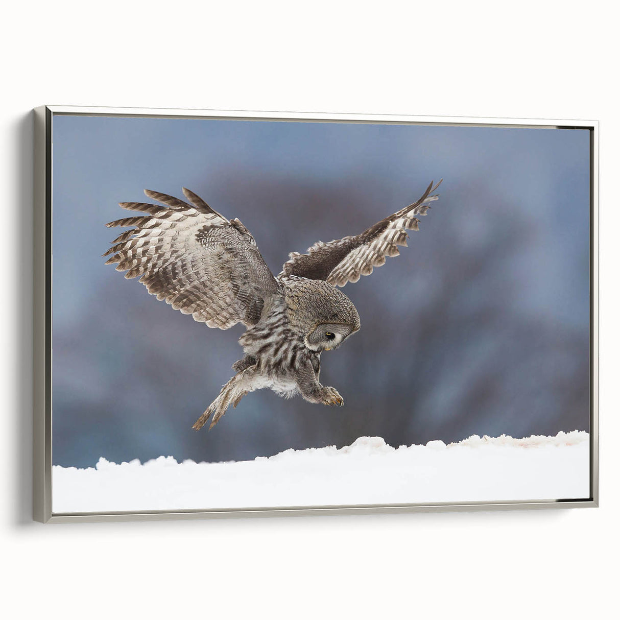 Framed canvas wall art featuring a detailed design of birds of prey in silver tones, showcasing an elegant side view, perfect for home decor.