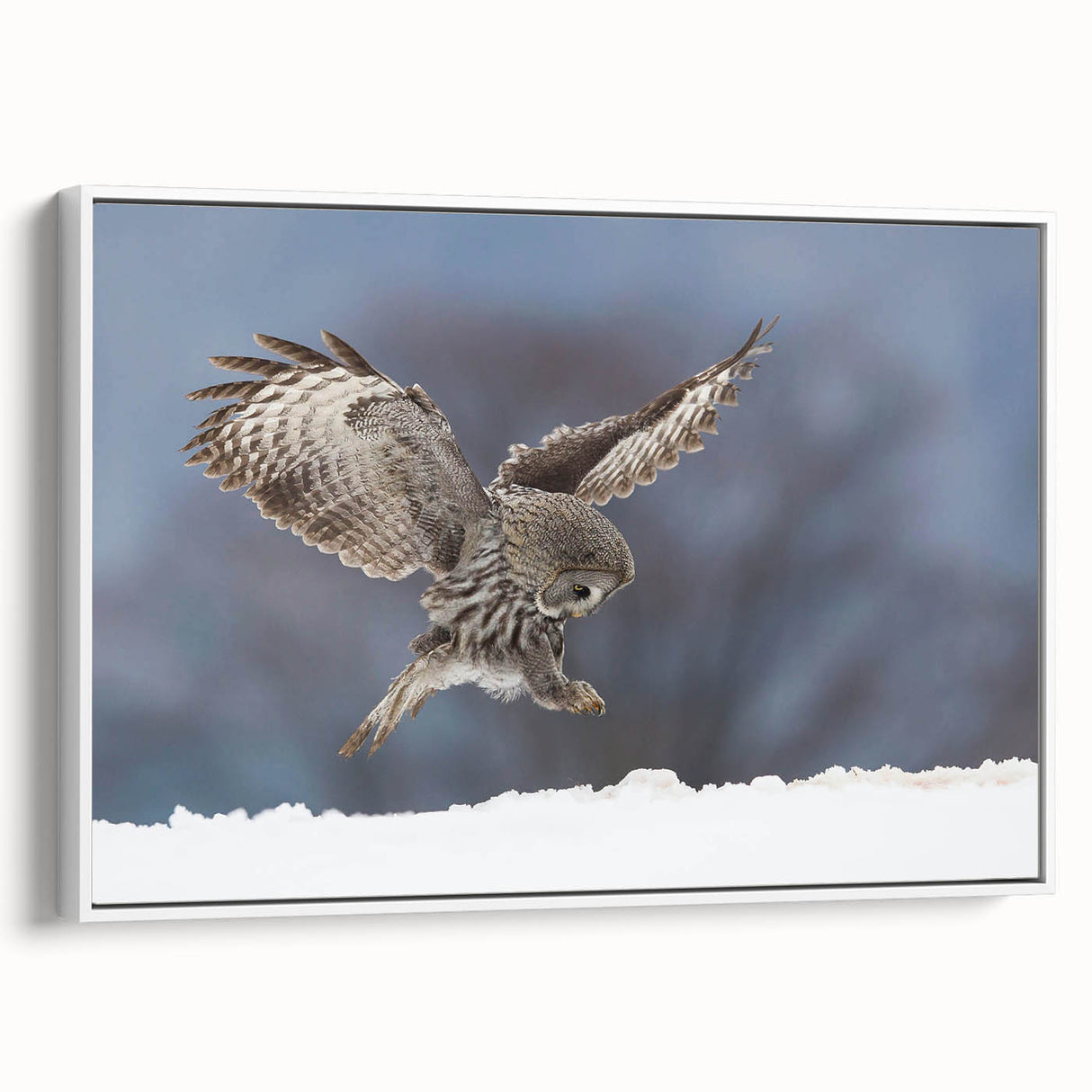 Framed wall art featuring a vibrant birds of prey design on textured canvas, showcasing detailed illustrations and a sleek white frame for modern decor.